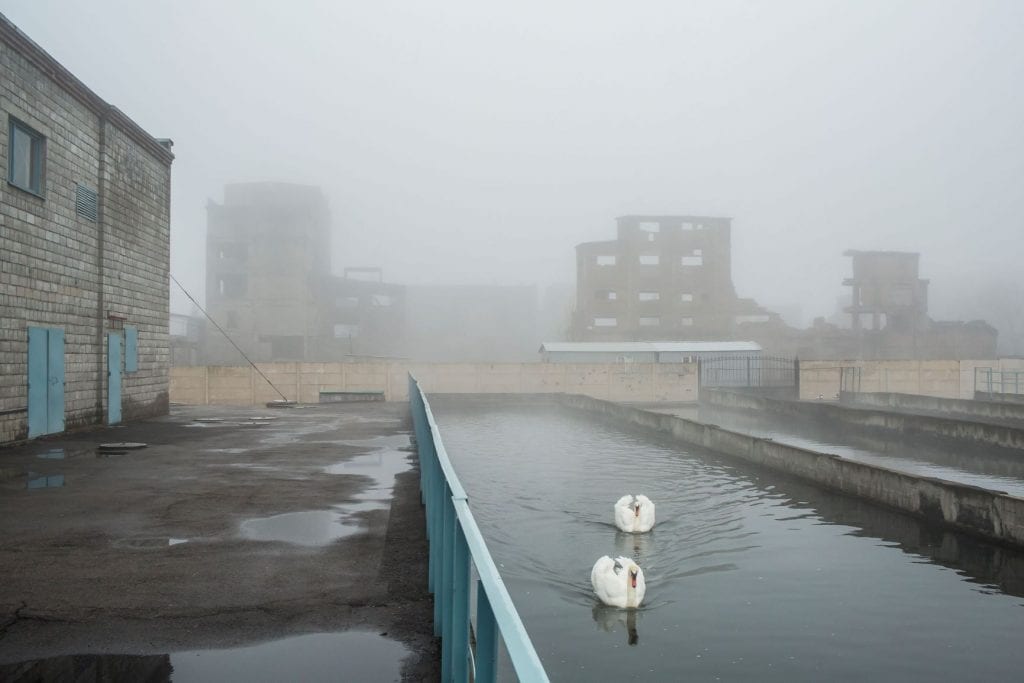 Brendan Hoffman, Swans, Eastern Ukraine