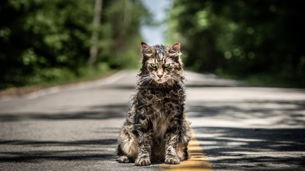 Pet Sematary