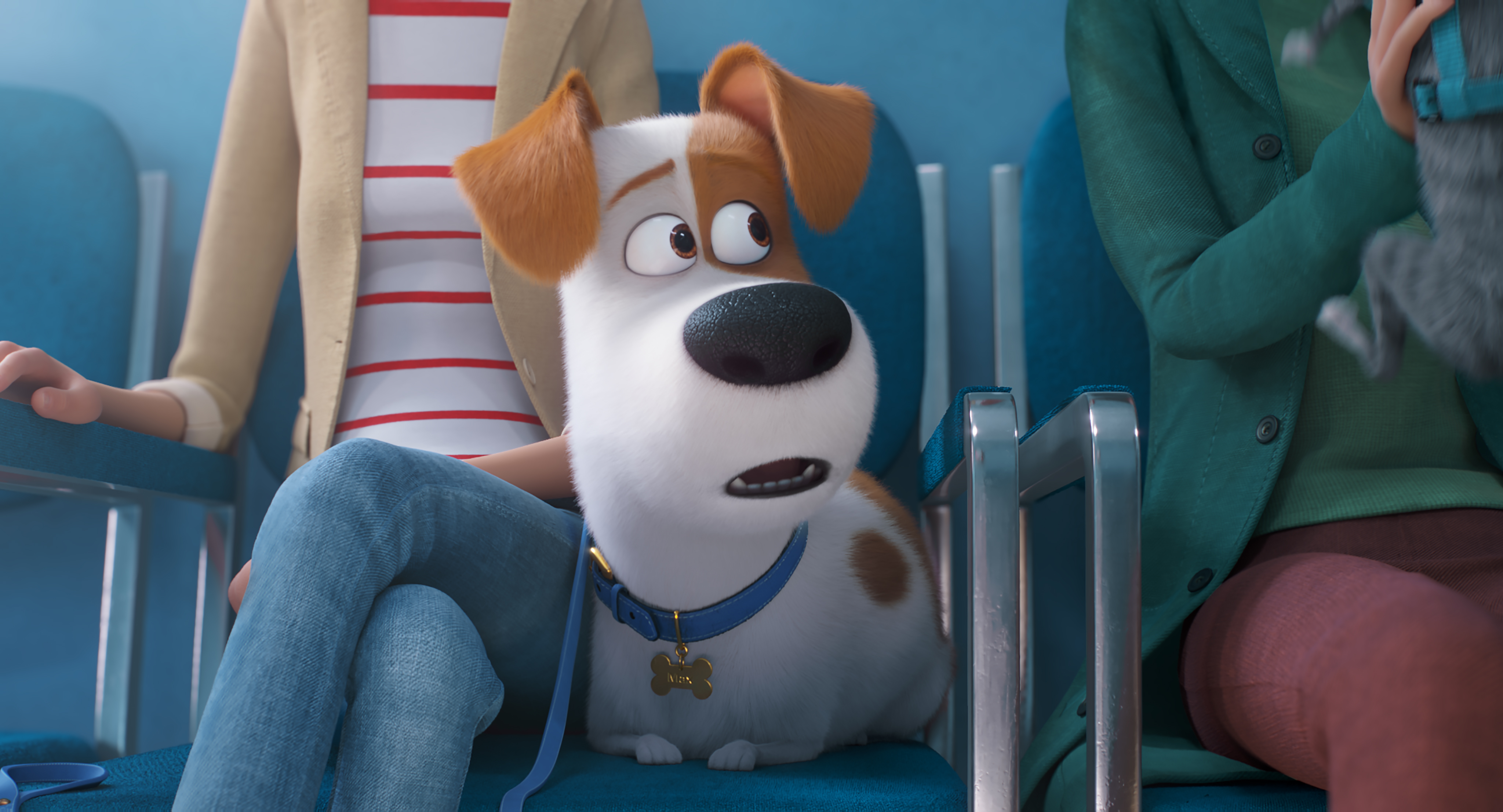 Secret Life of Pets 2